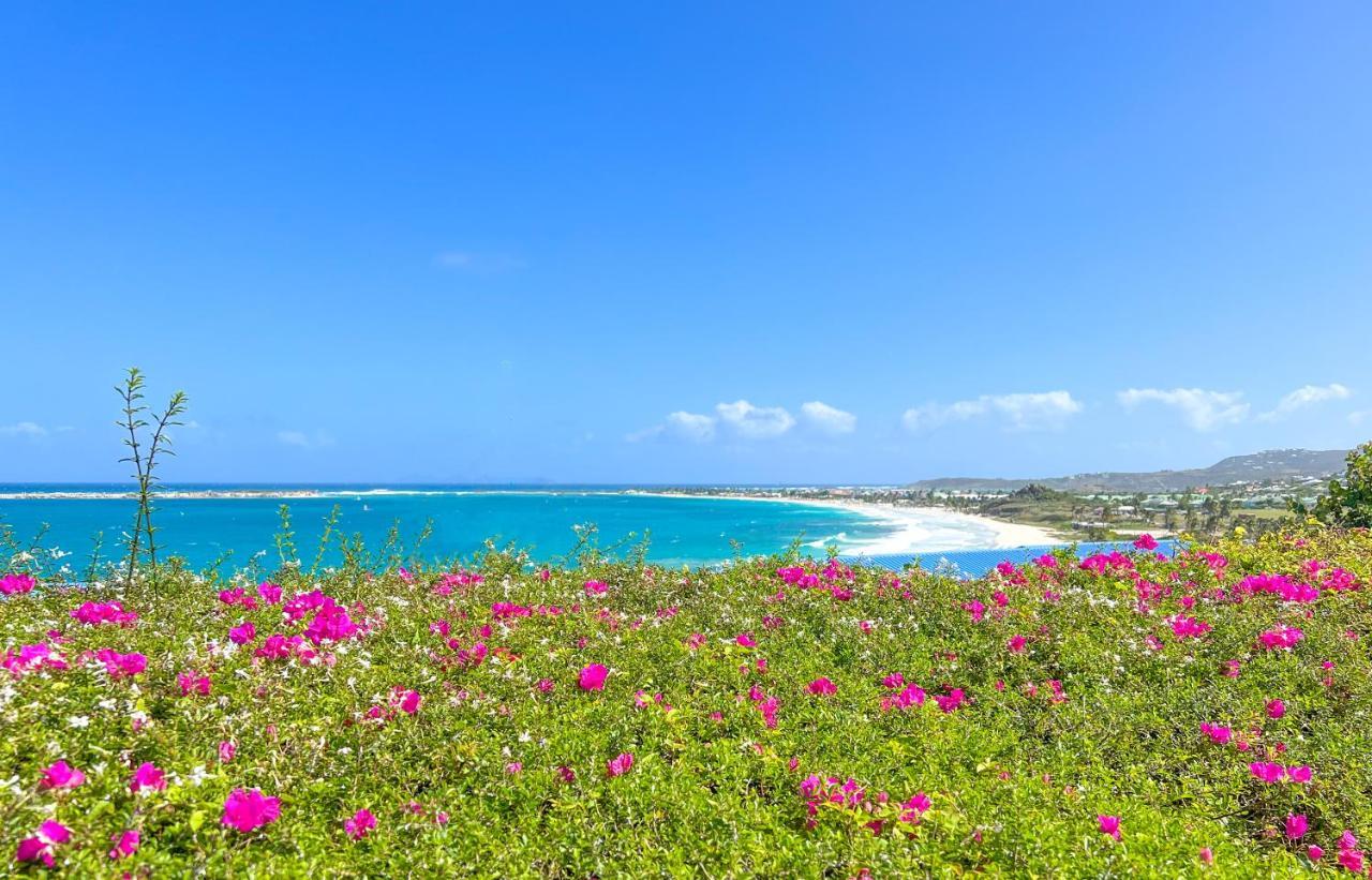 Front Line Unit 520 Ft2 - 48 M2, On Second Floor, Stunning Ocean View Apartamento Cul de Sac Exterior foto